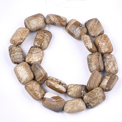 Natural Picture Jasper Beads Strands, Rectangle