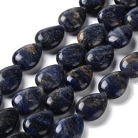 Natural Sodalite Beads Strands, Teardop