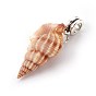 Alloy European Dangle Charms, Large Hole Beads, with Shell