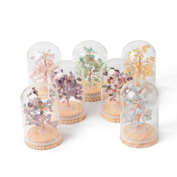 Natural Gemstone Chips Money Tree in Dome Glass Bell Jars with Wood Base Display Decorations, for Home Office Decor Good Luck