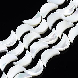 Natural Trochid Shell/Trochus Shell Beads Strands, Bleach, Moon