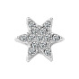 Alloy Star Watch Band Studs, Metal Nails for Watch Loops Accesssories