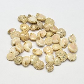 Cuentas de concha de caracol natural, 7~11x6~10 mm, Agujero: 1~4 mm, sobre 1850 unidades / 500 g