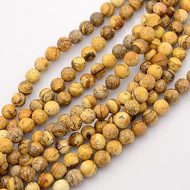 Perles rondes image de jaspe brins, chameau