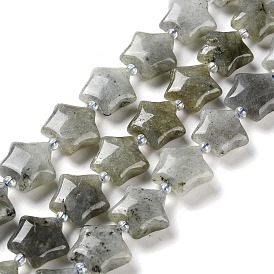 Natural Labradorite Beads Strands, with Seed Beads, Puffed Star