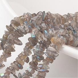Chip Natural Labradorite Bead Strands, Grade A+, 7~12x5~8x2~5mm, Hole: 1mm, about 15.7 inch