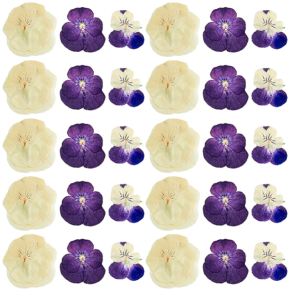 Hobbiesay 90шт 3 стиль сушеный цветок анютины глазки, ремесленный материал