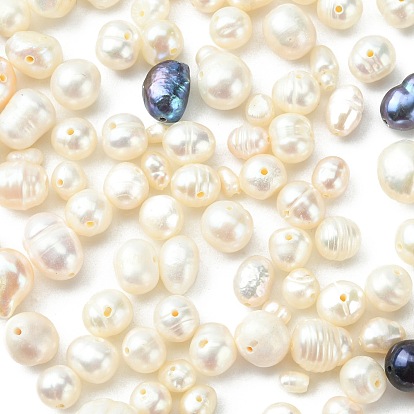 Perles nacrées de coquilles, ovale