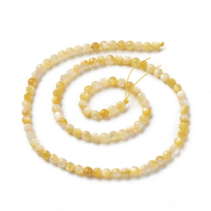 Natural Golden Yellow Shell Beads Strands, Faceted, Round