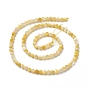Natural Golden Yellow Shell Beads Strands, Faceted, Round