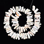 Natural Trochid Shell/Trochus Shell Beads Strands, Dyed, Nugget Stick
