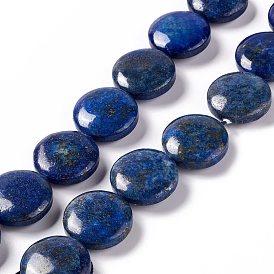 Lapis-lazuli, brins de perles naturels , teint, plat rond