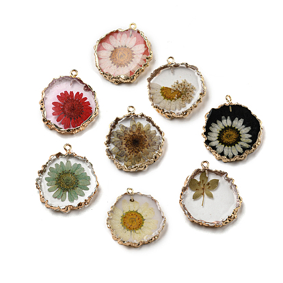 Inner Dried Flower Resin Pendants, Flat Round Charms with Light Gold Plated Brass Edge and Iron Loops