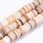 Cuentas de concha de perla natural hebras, disco / plano y redondo, perlas heishi, fragmentos de concha