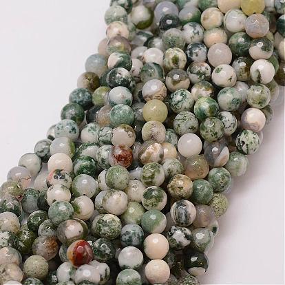 Natural Tree Agate Bead Strands, Dyed, Faceted, Round