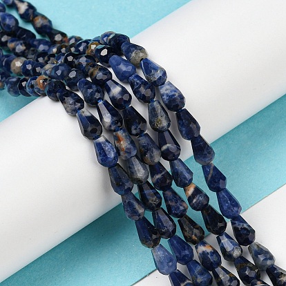 Natural Sodalite Beads Strands, Faceted, Teardrop