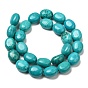 Chapelets de perles howlite naturelles , teint, forme de l'oeuf