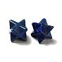 Natural Lapis Lazuli Beads, No Hole/Undrilled, Dyed, Star