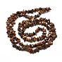 Natural Tiger Eye Chip Bead Strands, 5~8x5~8mm, Hole: 1mm, about 31.5 inch