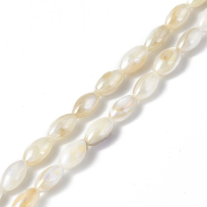 Cuentas de concha de perla natural hebras, color de ab chapado, oval