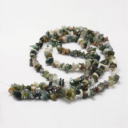 Natural Indian Agate Beads Strands, Chip