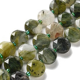 Natural Green Line Jasper Beads Strands, with Seed Beads, Faceted Hexagonal Cut, Flat Round