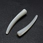 Perles de coquillages, perles non percées / sans trou, forme ivoire