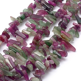 Natural Agate Beads Strands, Chip, Dyed