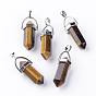 Gemstone Double Terminated Pointed Pendants, with Platinum Tone Alloy Findings, Bullet