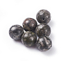 Natural Fossil Beads, Round