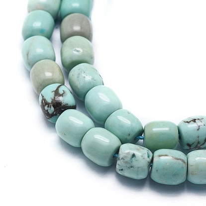 Natural Magnesite Beads Strands, Barrel, Dyed & Heated
