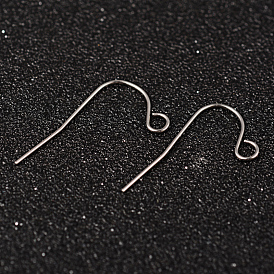 304 Stainless Steel Earring Hook Jewelry Findings, with Horizontal Loop, 22x12mm, Hole: 2mm, 21 Gauge, Pin: 0.7mm