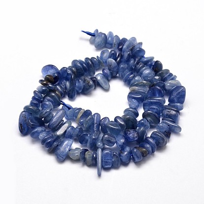 Natural Kyanite/Cyanite/Disthene Chip Beads Strands, 5~14x4~10mm, Hole: 1mm, about 15.5 inch ~16.1 inch