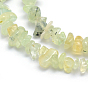 Natural Prehnite Beads Strands, Chip