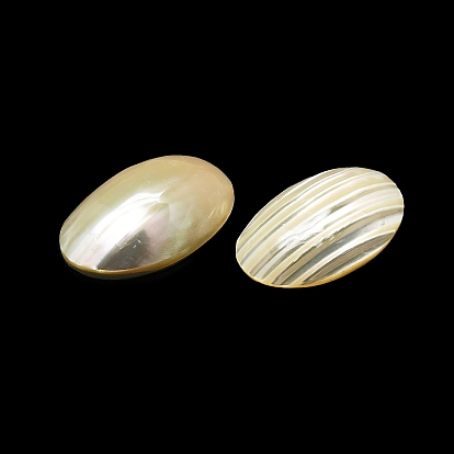 Cabujones naturales shell, oval