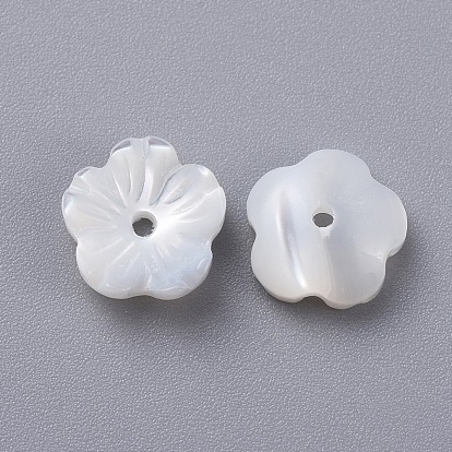 Coquille de trochide naturelle / perles de coquille de troque, fleur