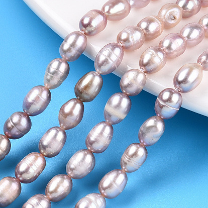 Natural Cultured Freshwater Pearl Beads Strands, Rice