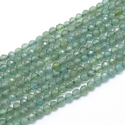 Brins de perles naturelles d'apatite verte, facette, classe ab, ronde