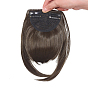 Clip en frange de cheveux pour les femmes, fibre haute température résistante à la chaleur, frange plate synthétique avec franges sur le devant de la tempe