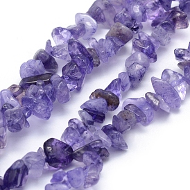 Natural Amethyst Beads Strands, Dyed, Chip