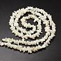 Natural Trochid Shell/Trochus Shell Beads Strands, Shell Shards, Chip, 5~8x5~8mm, Hole: 1mm, 32 inch