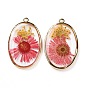 Transparent Clear Epoxy Resin Pendants, with Edge Golden Plated Brass Loops, Oval Charms with Inner Flower