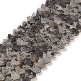 Natural Larvikite Beads Strands, Heart
