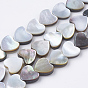 Natural Black Lip Shell Beads Strands, Heart