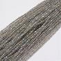 Natural Larvikite Beads Strands, Round, Faceted