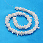 Natural Sea Shell Chips Beads Strands, Shell Shards