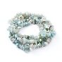 Brins de perles de copeaux d'amazonite de fleurs naturelles, 5~8mm, Trou: 0.3mm, environ 32~32.5 pouce