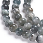 Natural Eagle Eye Beads Strands, Round