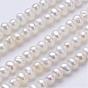 Natural Cultured Freshwater Pearl Beads Strands, Potato