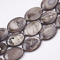 Freshwater Shell Beads Strands, Dyed, Oval